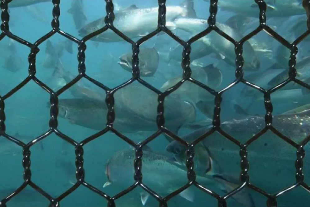 ScreenShot_2026-04-20_154802_721