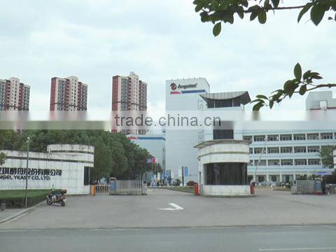 Angel Yeast Co., Ltd. company overview - view 1