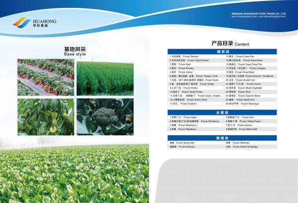 Qingdao Huahong Food Co., Ltd company overview - view 4