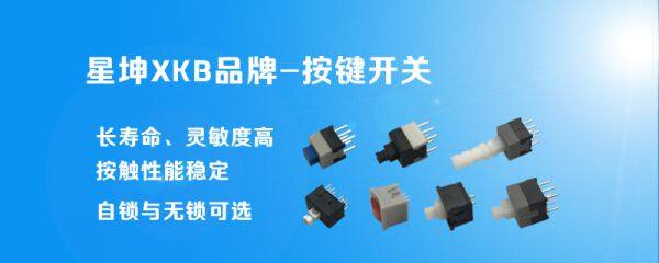 Key switch industry