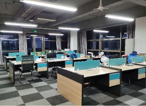 Jiangsu Kingshan New Material Co., Ltd company overview - view 2