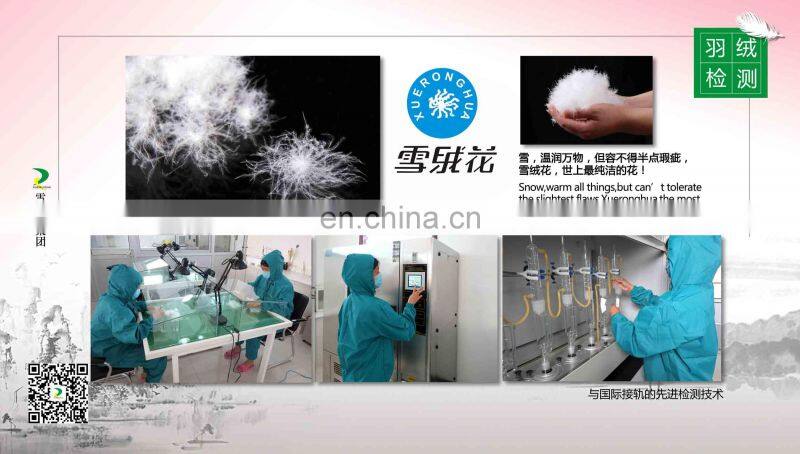 Baoding Xueruisha Feather And Down Products Co., Ltd. company overview - view 1