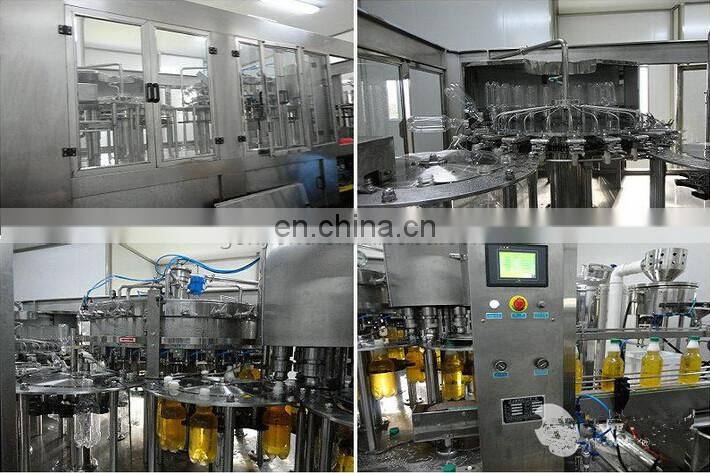 Small capacity Ginkgo juice/fresh fruit juice production line /plant /processing line /equipment