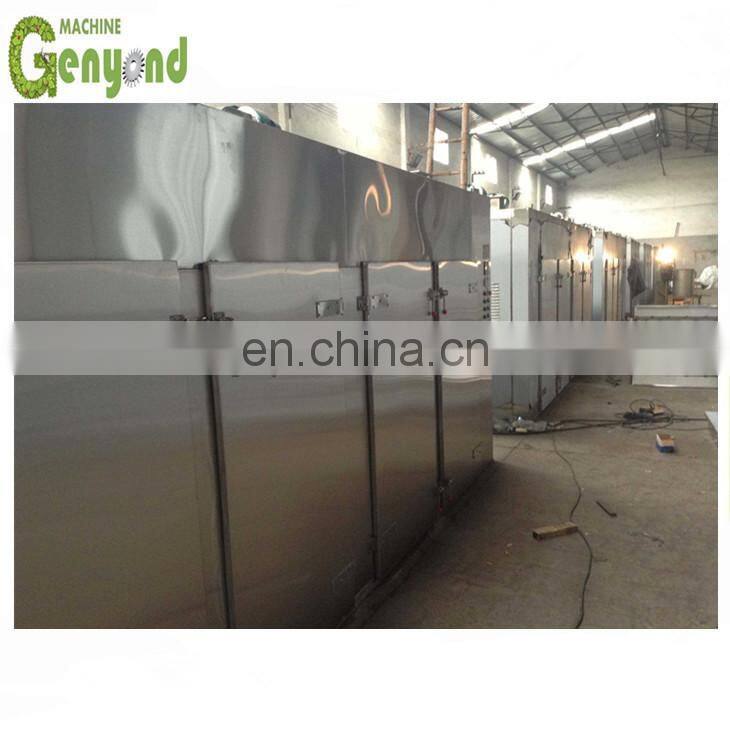 dried mango processing plant