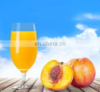 fruit juice pomegranate juice juice production line