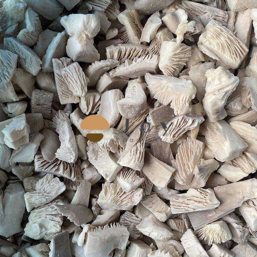 IQF frozen oyster mushroom cubes
