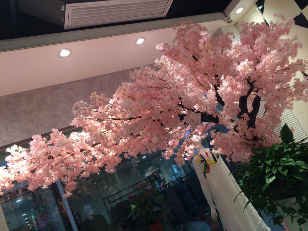 cherry tree (3)
