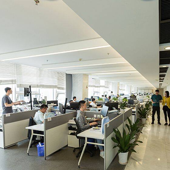 Lumi Legend Corporation company overview - view 4