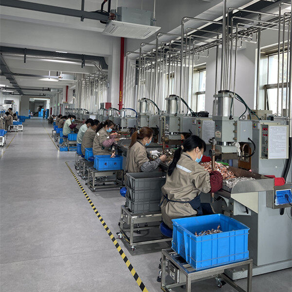 Zhejiang Qianna Electrical Co.,ltd company overview - view 3