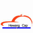 Dongguang Hewang Cap & Bag Industrial Co., Ltd.
