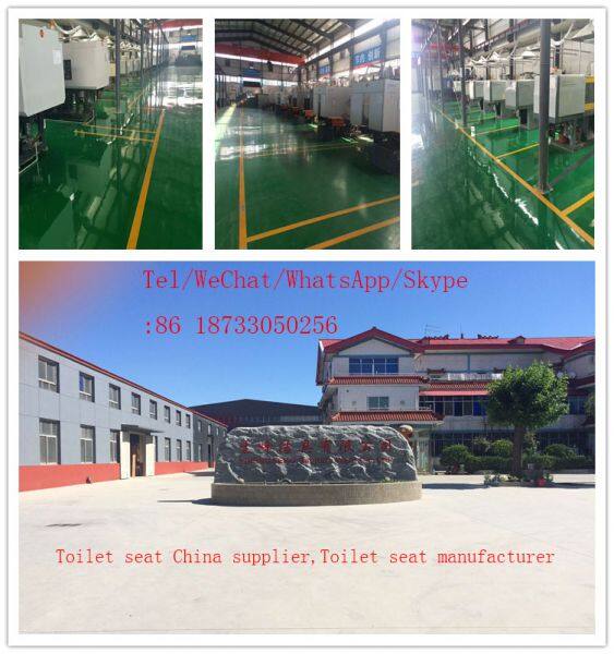 Hebei Shengfeng Sanitary Ware Co.,ltd company overview - view 1