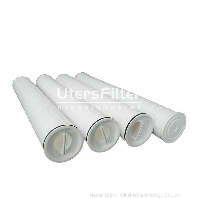 Replace Pall high flow water filter element RTM41HF050E (1)