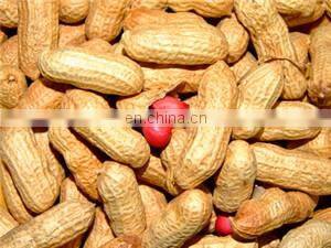 Date palm sorting and cleaning machine/sorting system