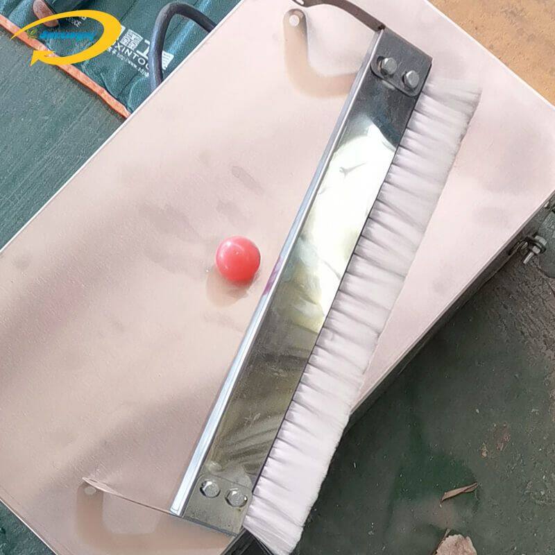 MT5-250鲜面 (40).jpg