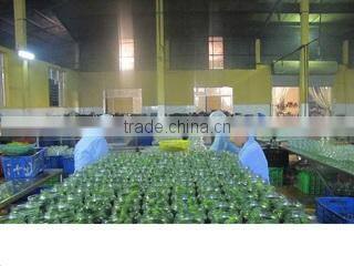 Minh Hien Company Limited company overview - view 3