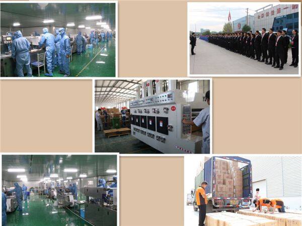 Shandong Zhushi Pharmaceutical Group Co.,Ltd company overview - view 2