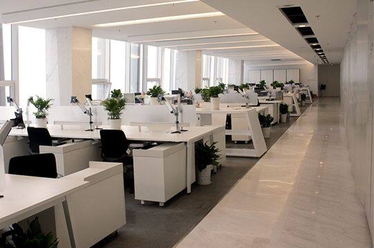 Hong Kong Xingheda Co., Ltd company overview - view 1