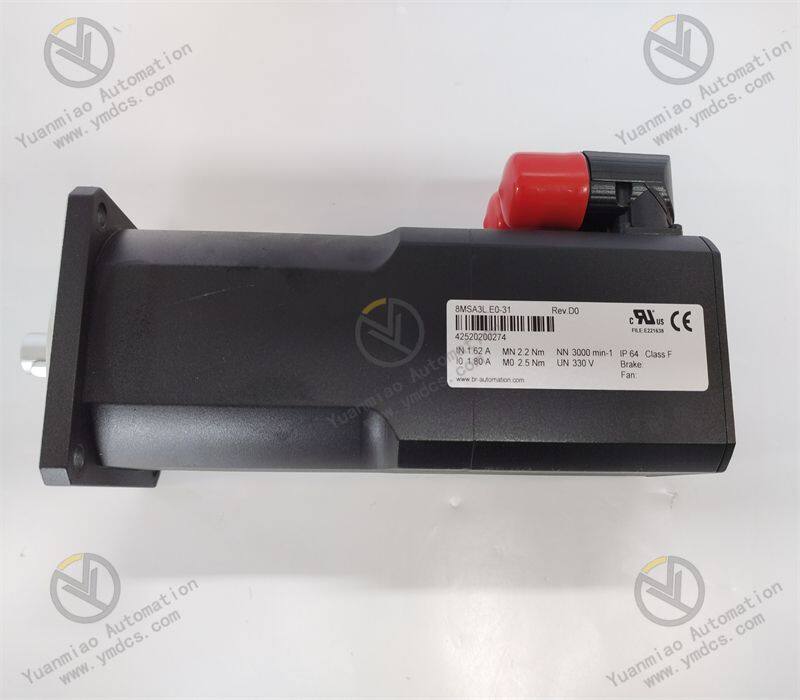 B&R 8MSA3L.E0-31.jpg