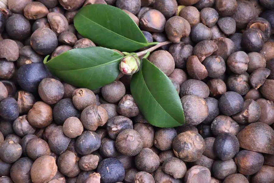 Science City(Guangzhou)International Trade Group Co., Ltd. company overview - view 4