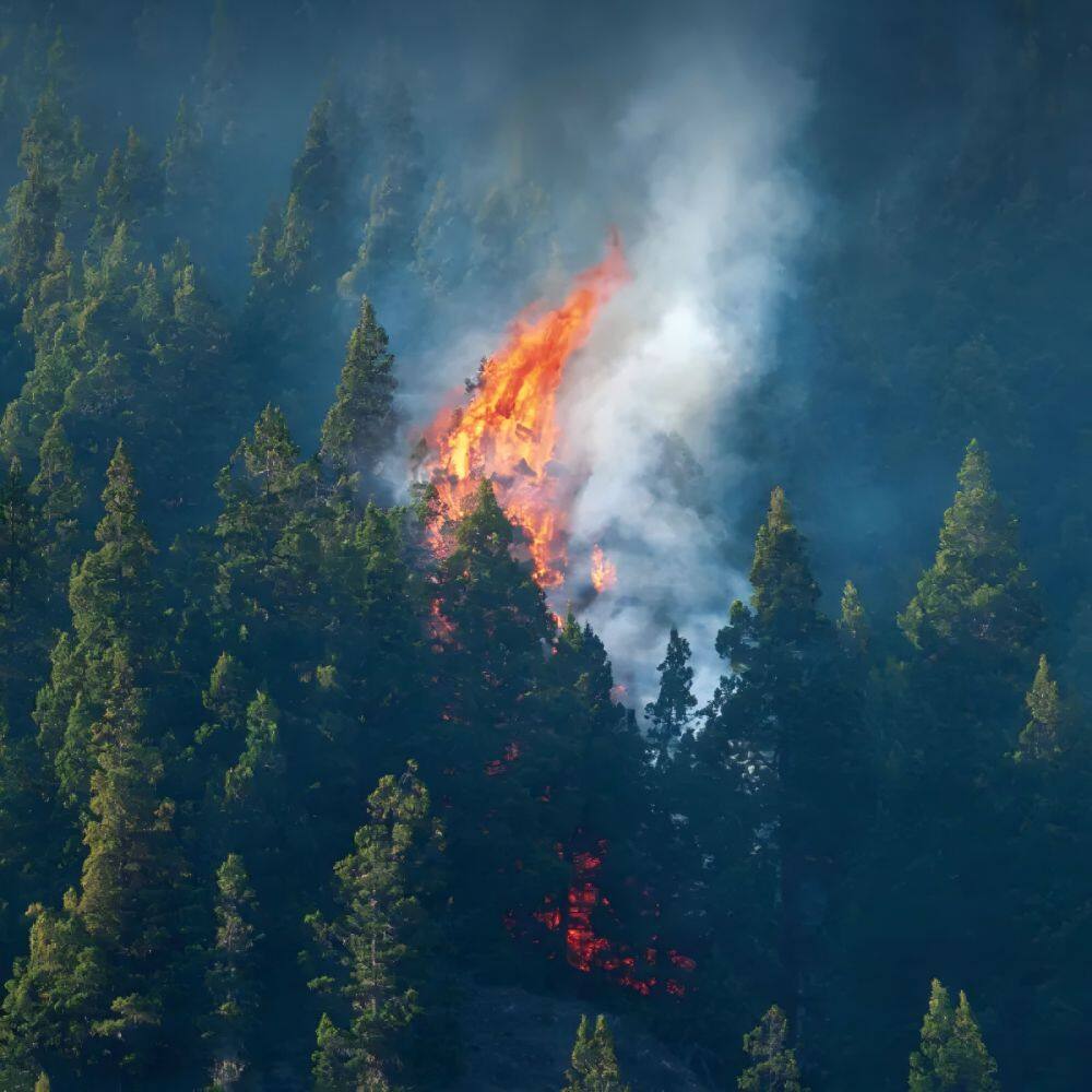 Thermografische Lösungen für den Wald- und Graslandbrandschutz