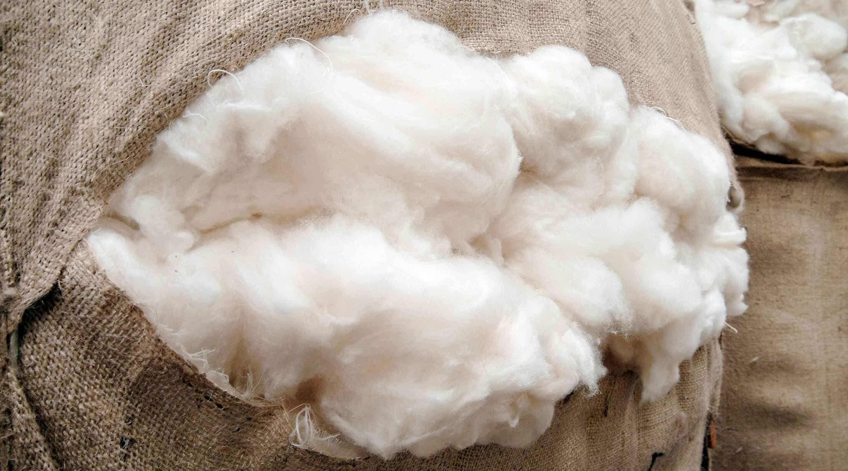 ANNUAL CASHMERE MARKET REPORT IN 2019