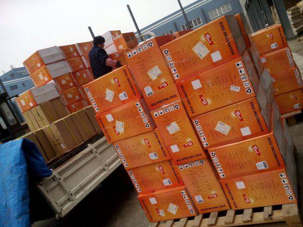 Nanchang Edward Co.Ltd company overview - view 3