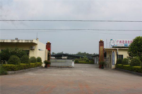 Guangxi Beiliu Guixin Industry & Trade Co., Ltd. company overview - view 1