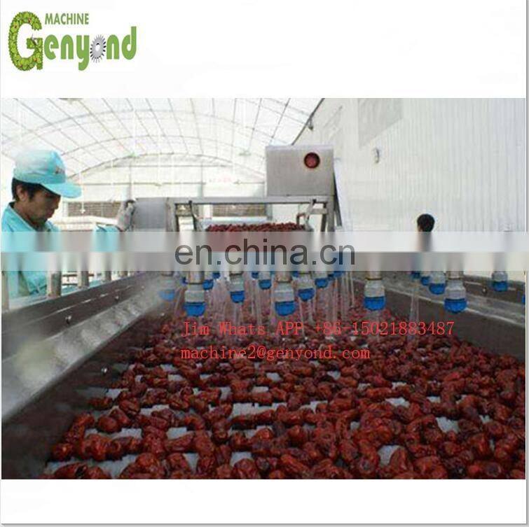 Vegetable Fruit Washing Machine/Vegetable cleaning machine/Stainless steel fruit washer