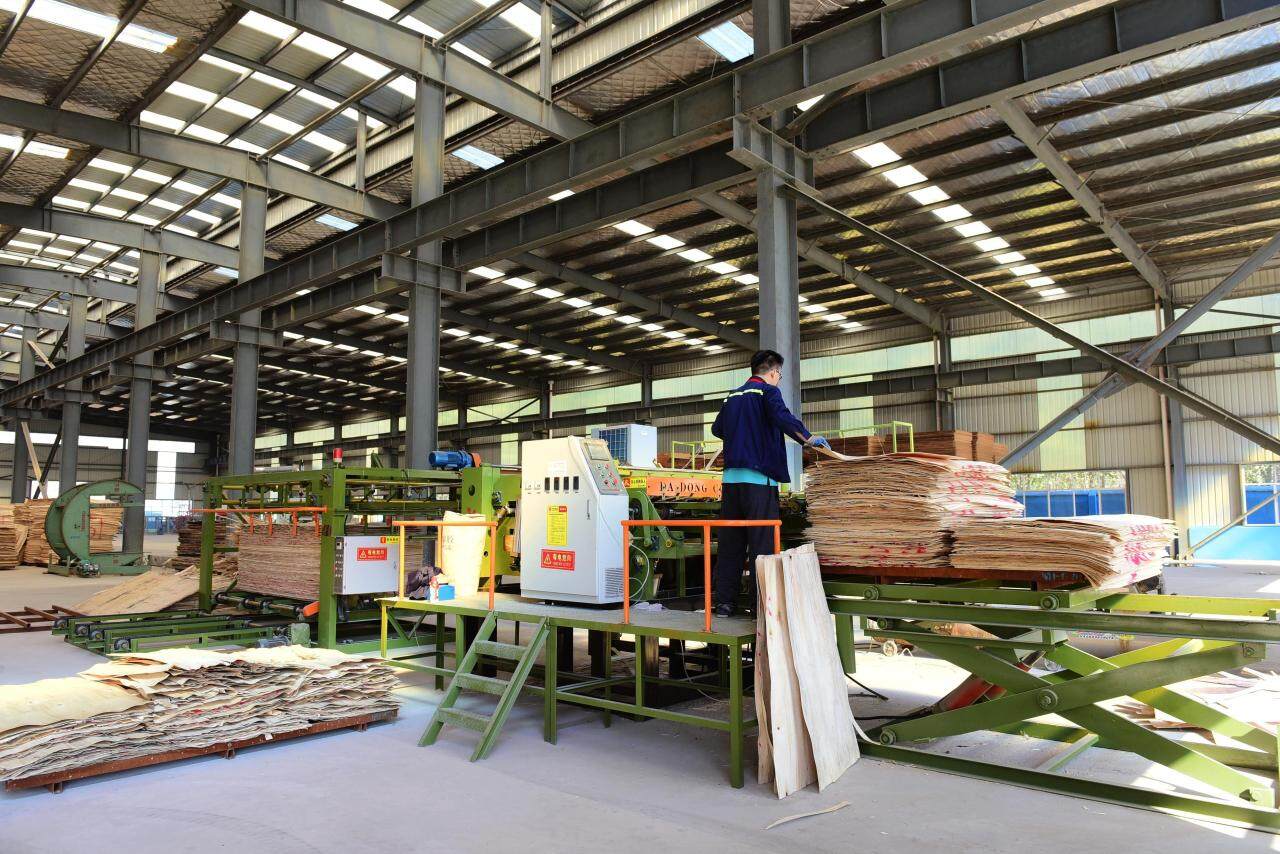 Shandong Aceall Wood Co., Ltd company overview - view 2