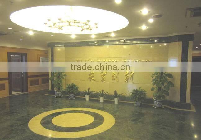 High Hope Zhongding Corporation company overview - view 2