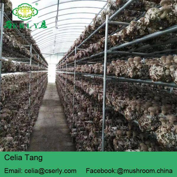 Changsha Erly Biological Technology Co.,Ltd company overview - view 3