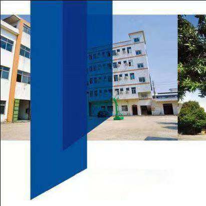 Shandong Dingfeng Packaging Machinery Co., Ltd. company overview - view 2