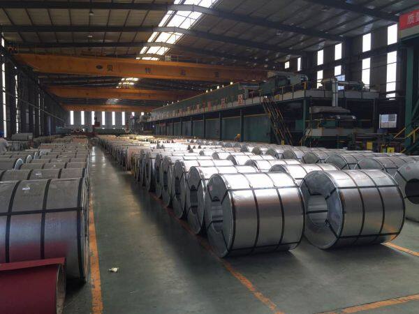 Shandong Shuangxin New Sheet Co.,ltd company overview - view 1