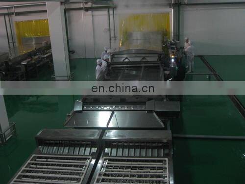 full automatic egg cleaning and sorting packing line production line processing line