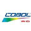 Shunde Cobol Industries Co., Ltd company overview - view 1