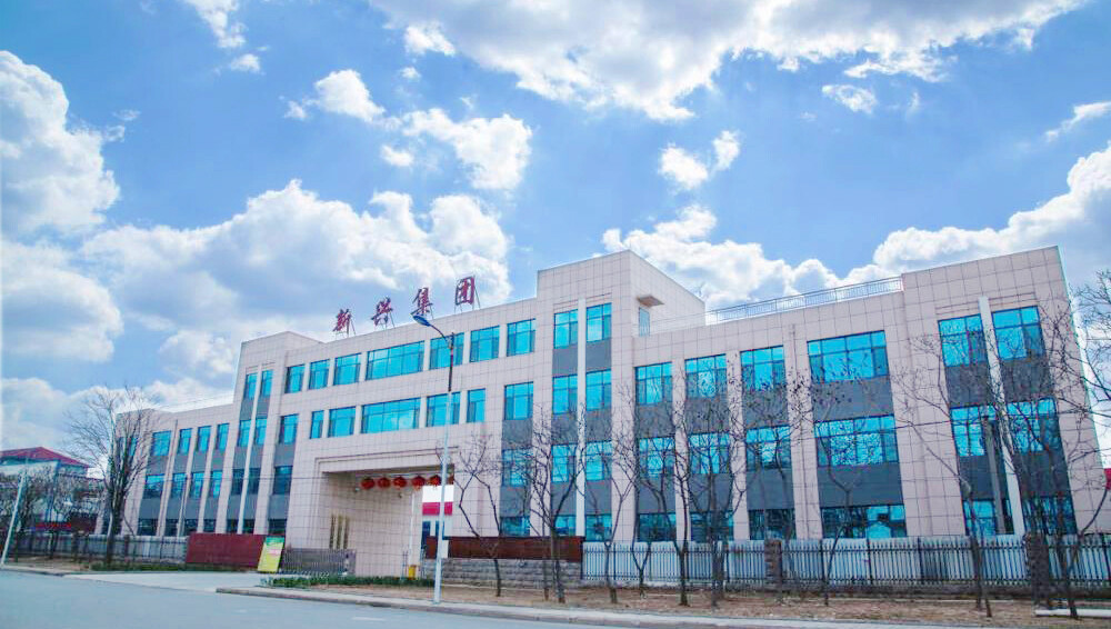 Shandong Ningjin Xinxing Chemical Co., Ltd. company overview - view 1