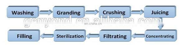 Complete cashew apple juice production line / cashew apple processing machine