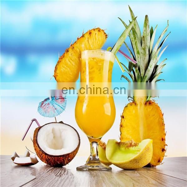 Industrial pineapple juice extractor machine