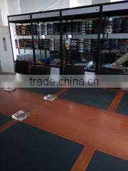 Lanxi VIS Sports Company Limited company overview - view 2