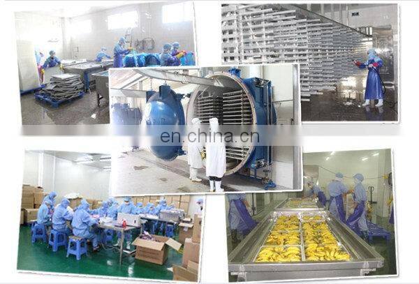 full plant plantain banana powder making machines
