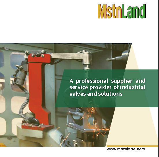 MstnLand International Company company overview - view 1