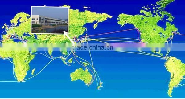 Potato Cassava Carrot Washing Peeling Machine