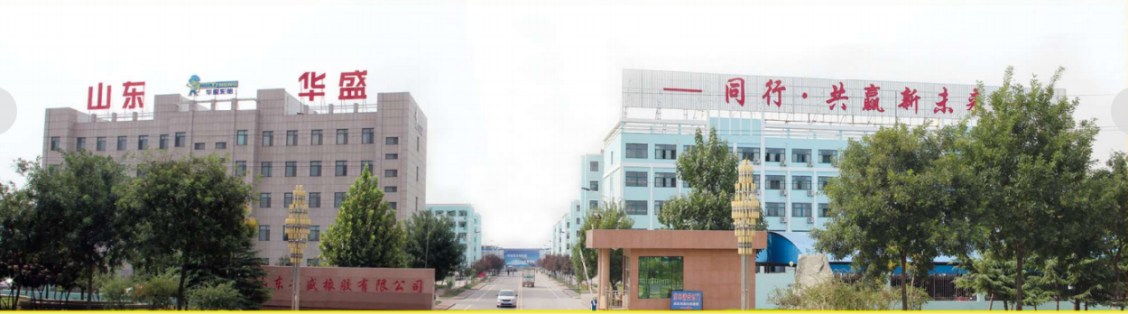 Shandong Huasheng Rubber Co., Ltd company overview - view 1