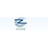 Hangzhou ZGSM Technology Co.,Ltd
