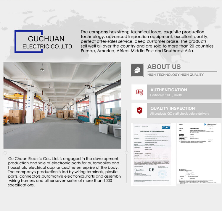 Yueqing Guchuan Electric Co.,Ltd. company overview - view 1