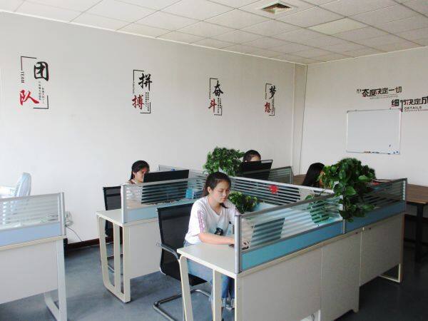 Vigenstar Intelligent Technology Co., Ltd. company overview - view 3