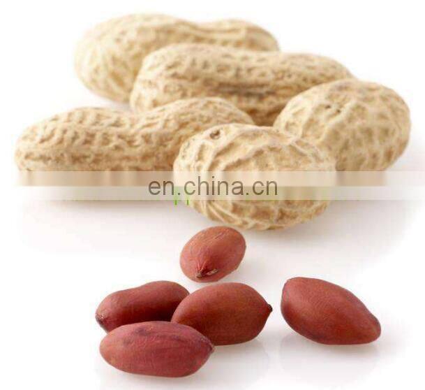 Commercial peanut butter production line/Industrial peanut butter machine/Peanut butter processing equipment