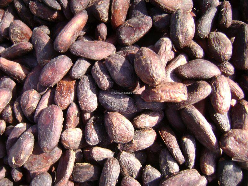 Complete Cocoa Bean Processing/cocoa Butter Processing Line