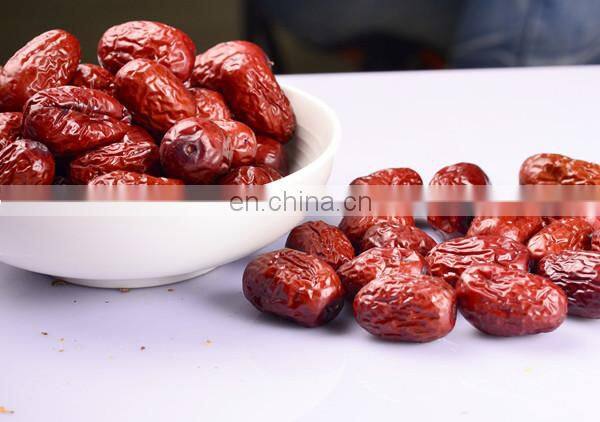 Date palm sorting and cleaning machine/sorting system