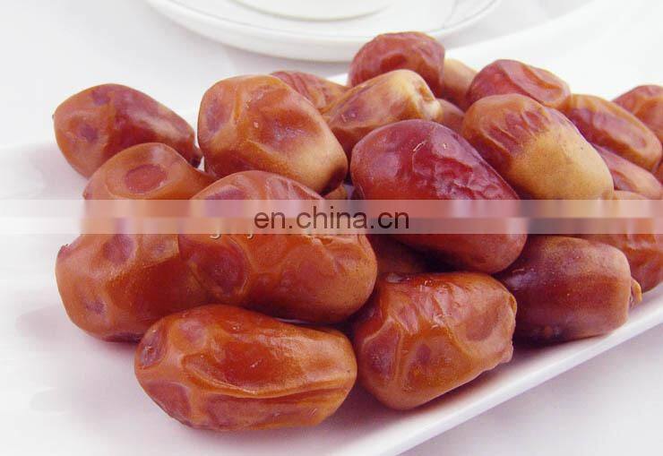 dates jam processing line / date palm jam making machine / dates jam making equipment